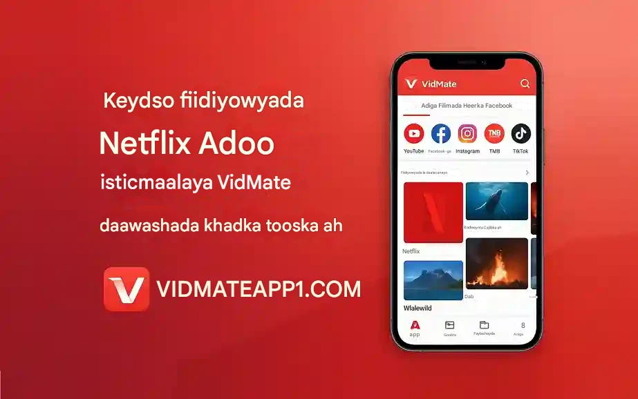 Sida loo kaydiyo fiidiyowyada Netflix Adigoo isticmaalaya VidMate daawashada khadka tooska ah?